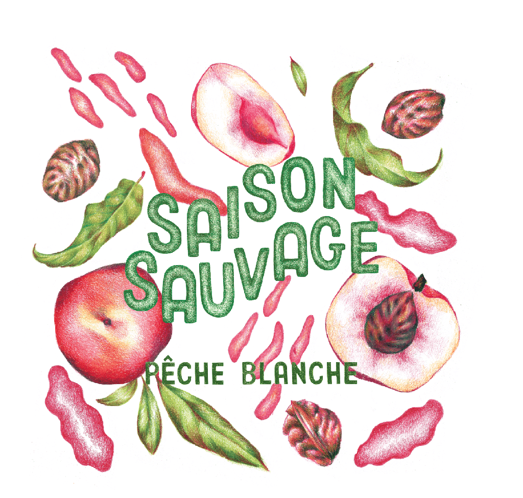 Saison Sauvage Pêche Blanche 2024 - Carton de 6