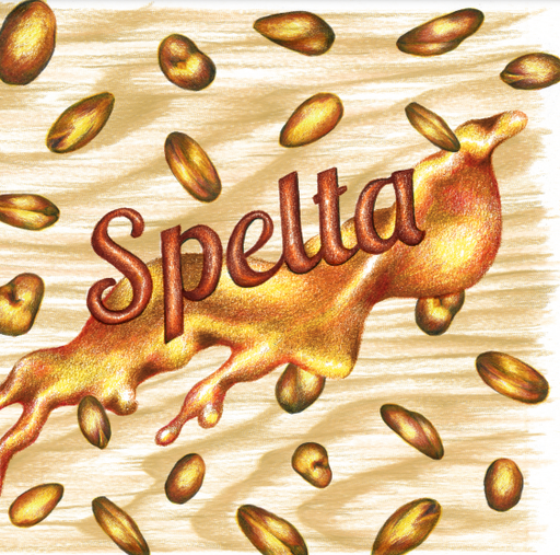 Spelta - Carton de 6