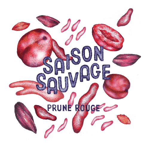 Saison Sauvage Prune Rouge 2024 - Carton de 6